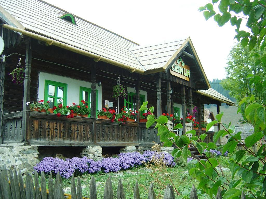 Casa Lia Otel Valea Putnei Dış mekan fotoğraf