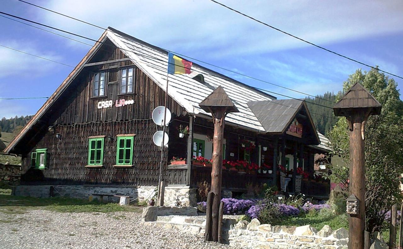 Casa Lia Otel Valea Putnei Dış mekan fotoğraf